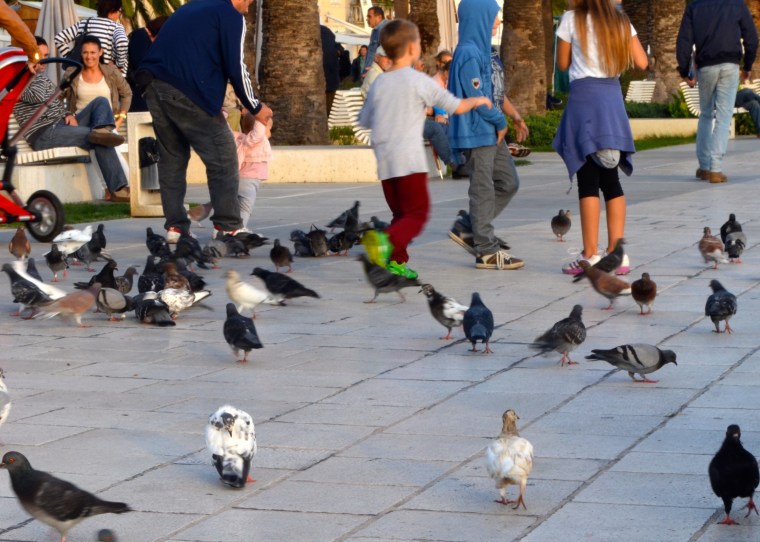 Split, Riva Promenade 4.jpg