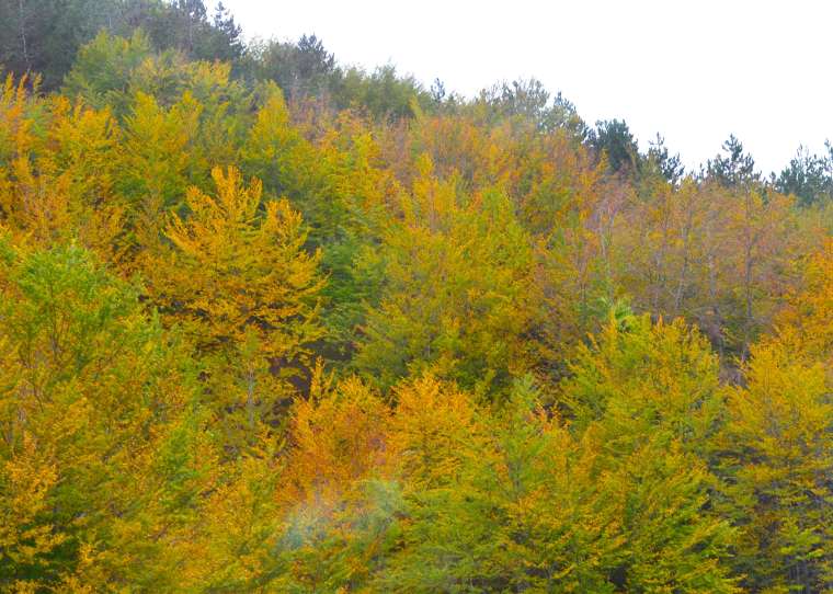 lovcen national park 1