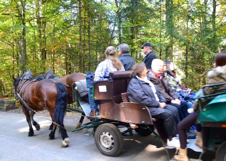 Neuschwanstein Castle Bavaria 3.jpg