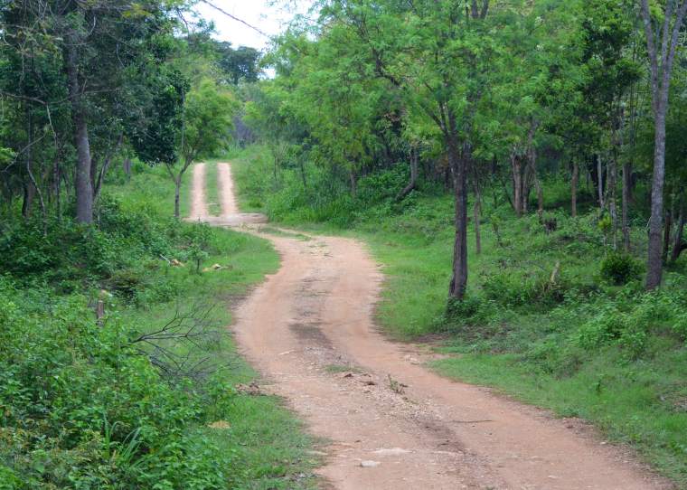 Habarana Hurulu_Eco Park_Sri Lanka.jpg