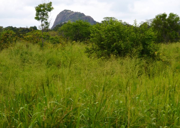 Habarana Hurulu_Eco Park_Sri Lanka_1