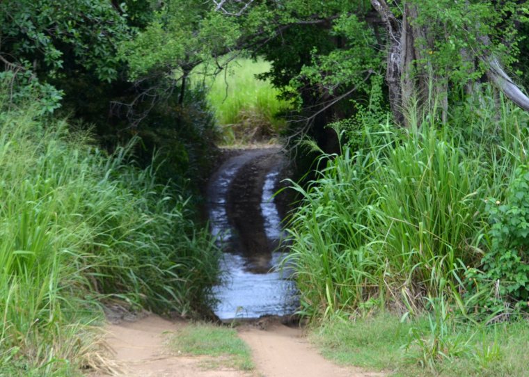 Habarana Hurulu_Eco Park_Sri Lanka_4