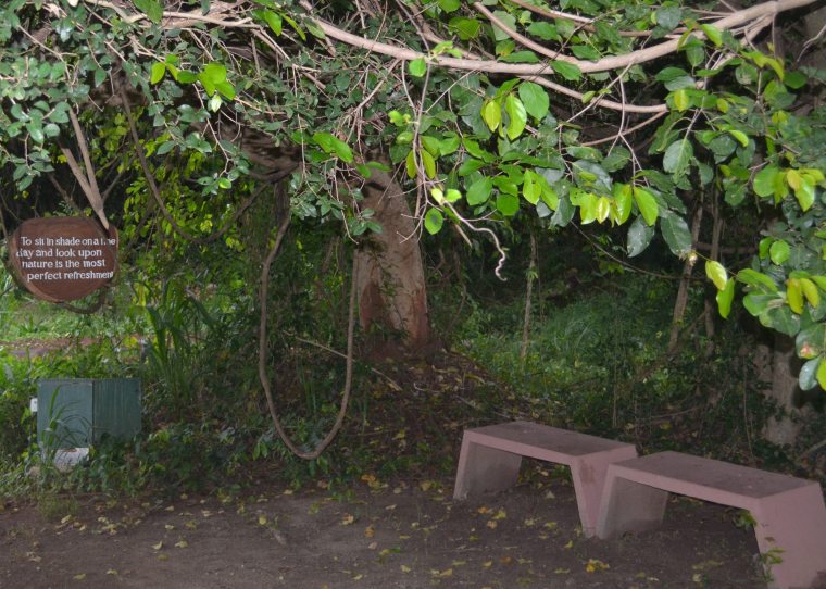 Jetwing Lake Dambulla_lawn_bench_2