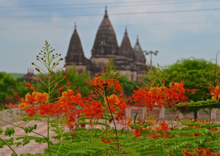 Chhatris_Orchha_1.JPG