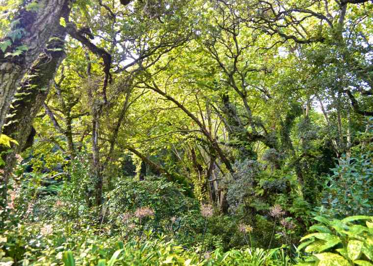 Sintra Cascais Natural Park.jpg