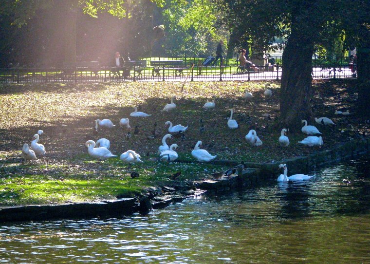 Minnewater Park_Bruges