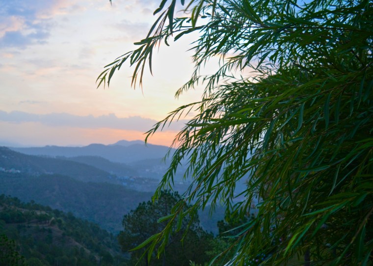 Sunrise_Seclude_Kasauli_2