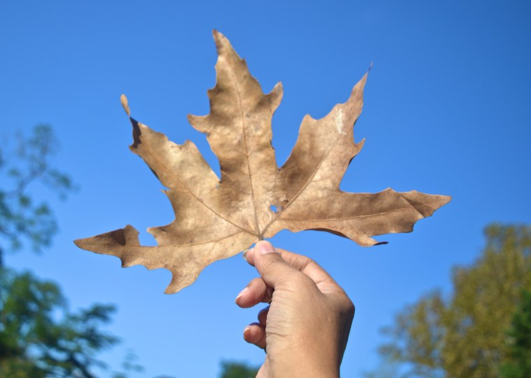 Topkapi Palace_Istanbul