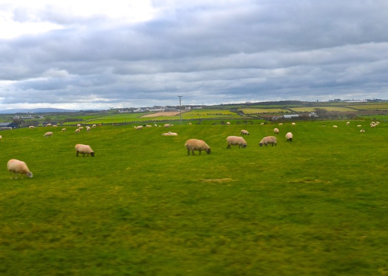 Boyne Valley_Ireland_3