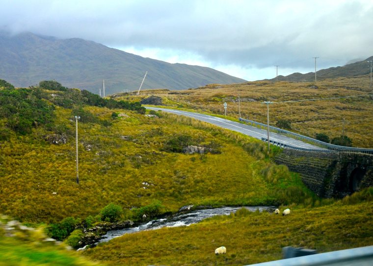 Connemara_Ireland_bogland_4