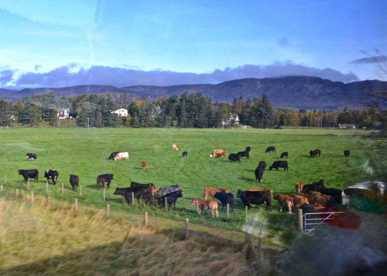 Inverness_Isle of Skye_landscape_18