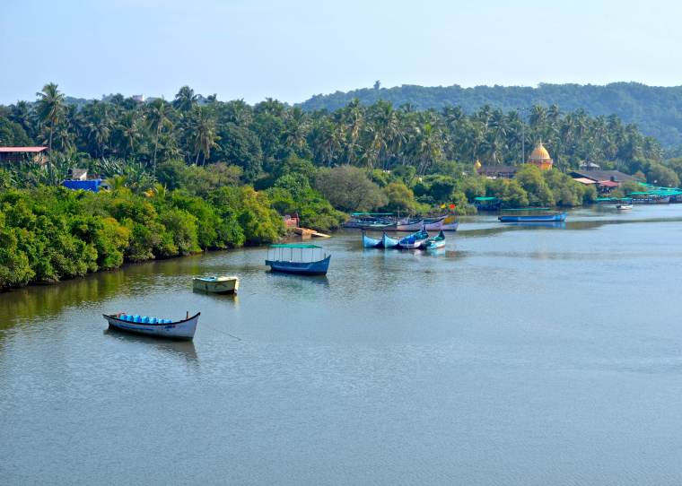 Goa_Rural Landscape_1