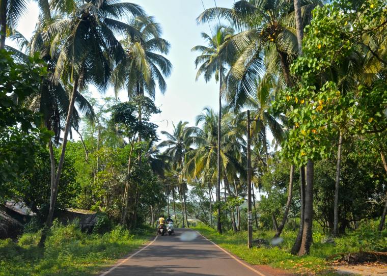 Goa_Rural Landscape_7