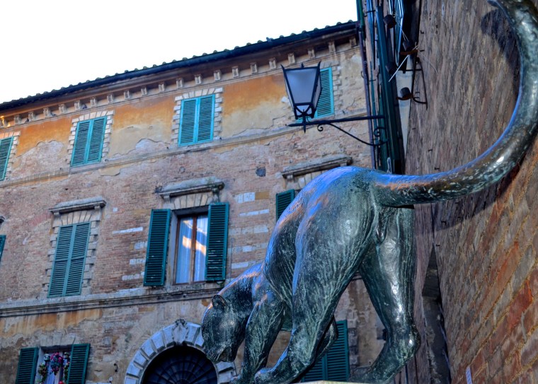 Siena_Tuscany_Street_4